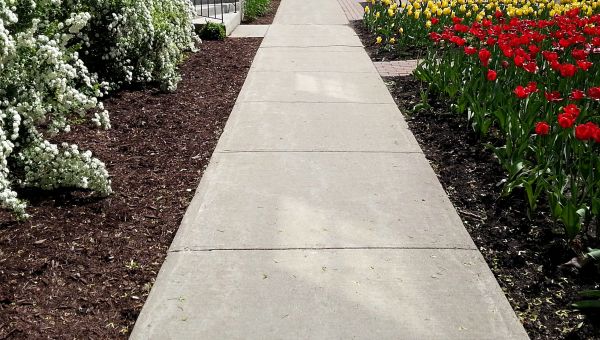 Sidewalk Slab Replacement in Downers Grove