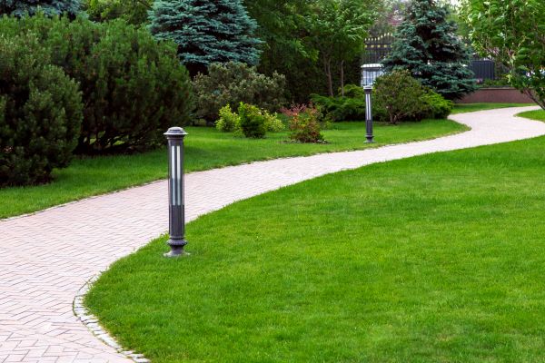 Backyard Sidewalk Installation in Downers Grove