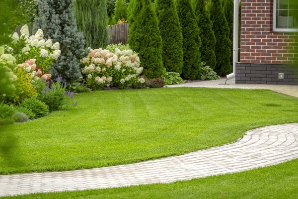 Landscape Walkway Installation in Downers Grove